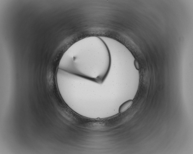 X0000111660692200908281110