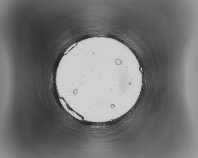 X0000111660693200908281110