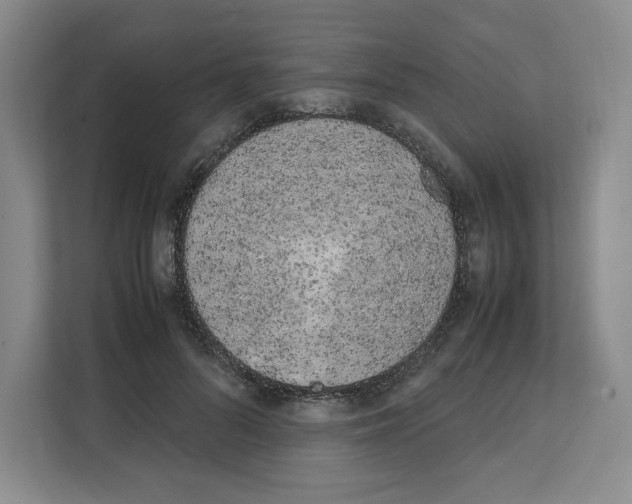 X0000111660696200908281110