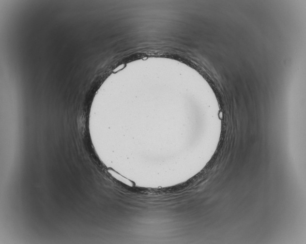 X0000111660697200908281110