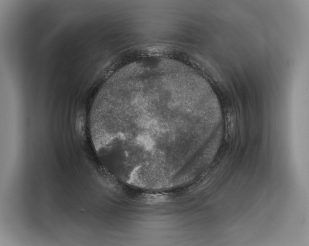 X0000111660698200908281110