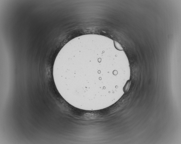 X0000111660699200908281110