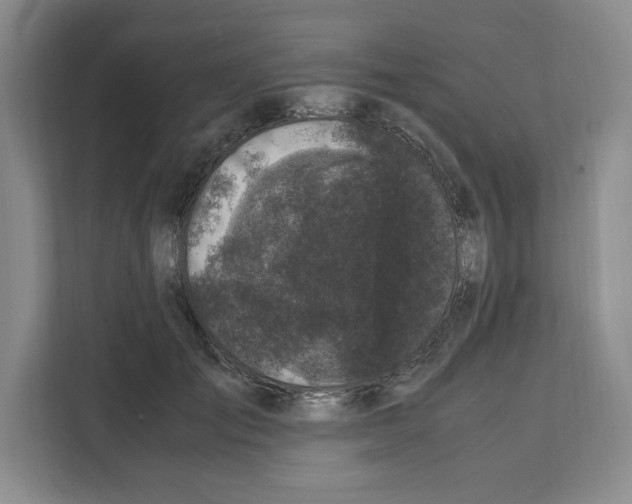 X0000111660701200908281110