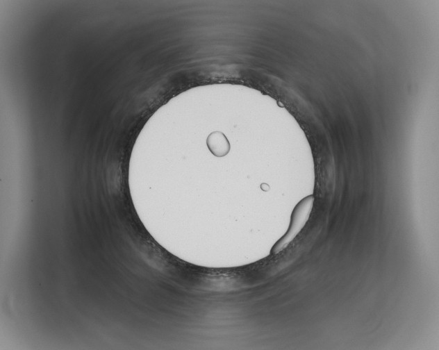 X0000111660704200908281110