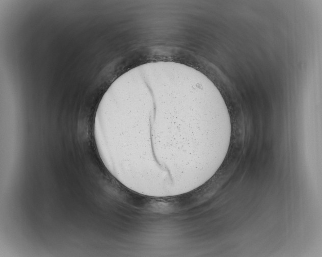 X0000111660706200908281110