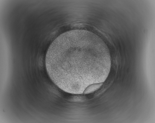 X0000111660708200908281110