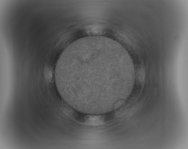 X0000111660709200908281110