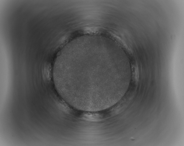 X0000111660712200908281110