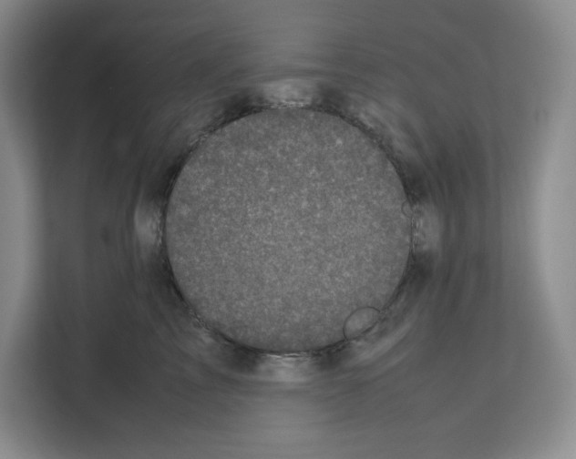 X0000111660713200908281110