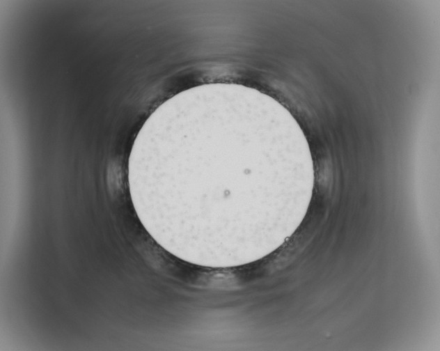 X0000111660715200908281110