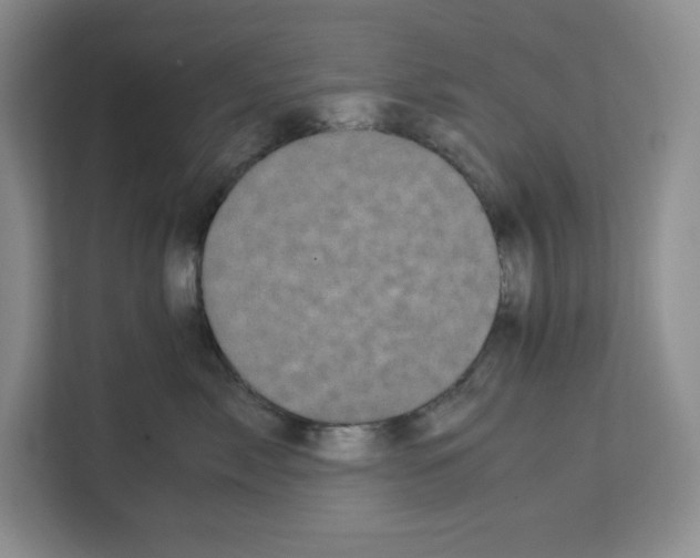 X0000111660717200908281110