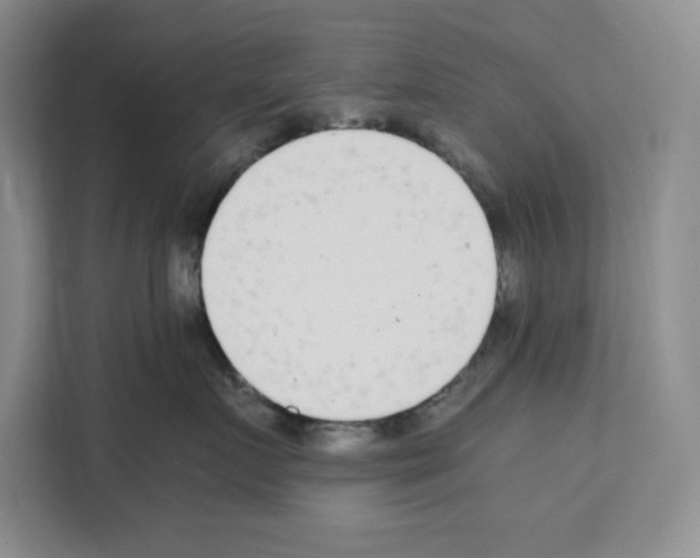 X0000111660719200908281110