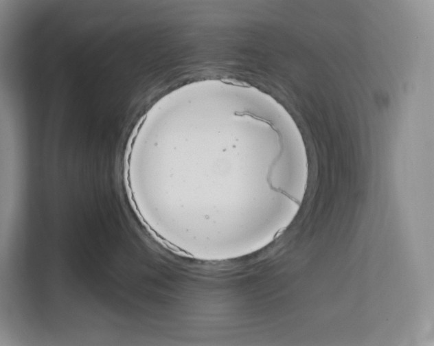 X0000111660720200908281110