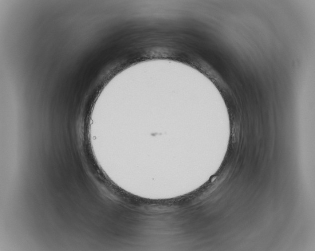 X0000111660722200908281109