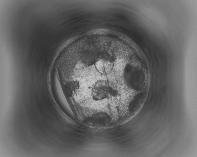 X0000111660725200908281109