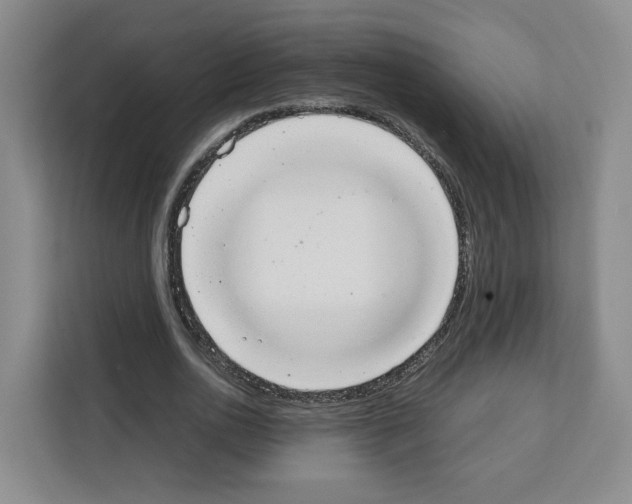 X0000111660726200908281109