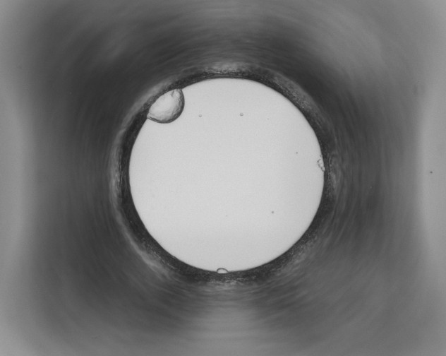 X0000111660728200908281109