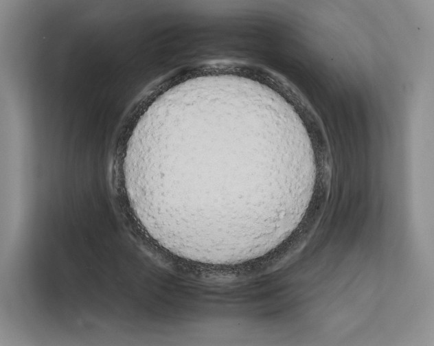 X0000111660729200908281109