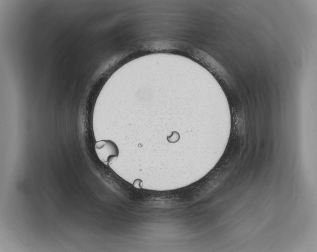 X0000111660732200908281109