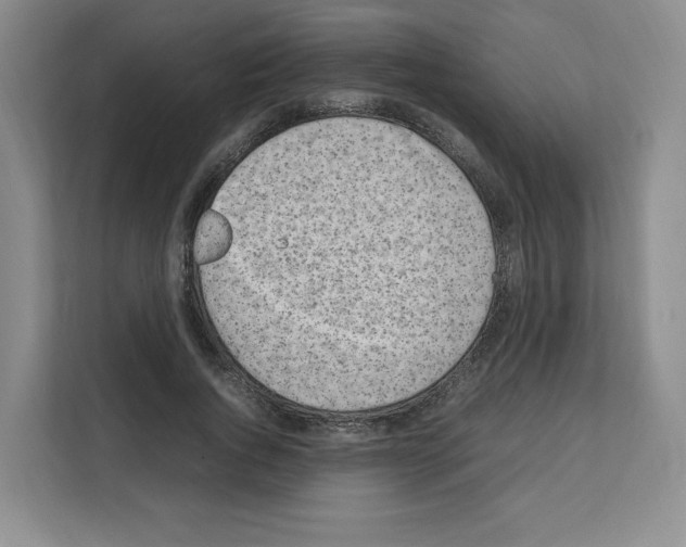 X0000111660736200908281109