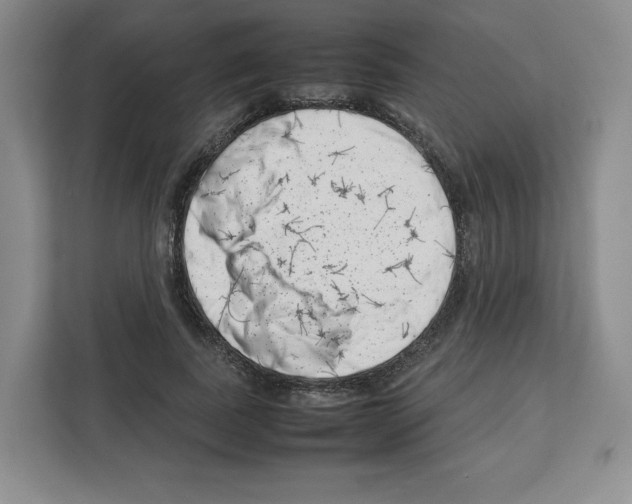 X0000111660739200908281109