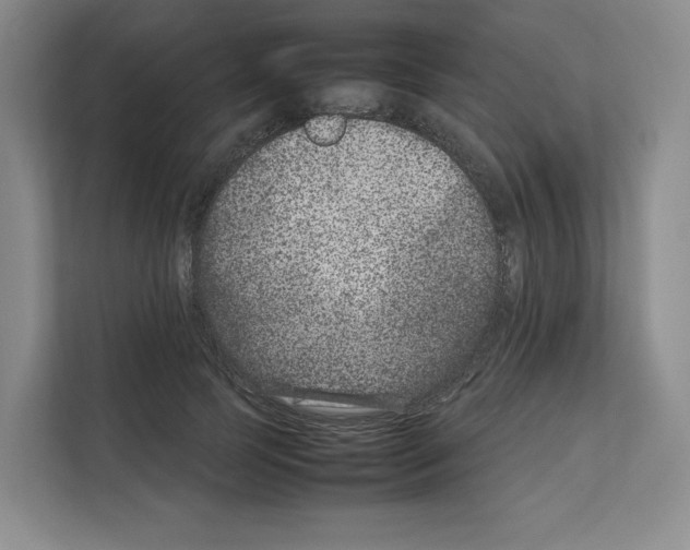 X0000111660745200908281109