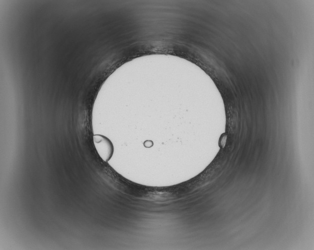 X0000111660748200908281109