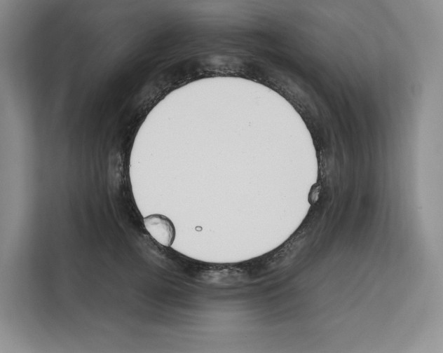 X0000111660752200908281109