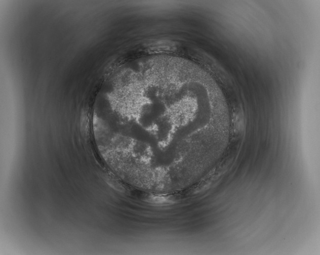 X0000111660753200908281109