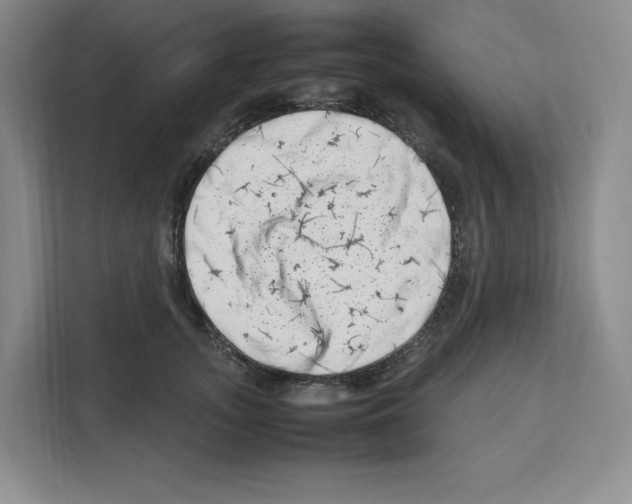 X0000111660755200908281109