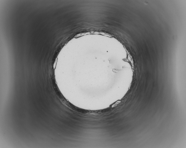 X0000111660756200908281109