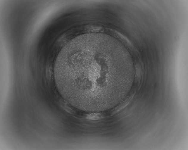 X0000111660761200908281109