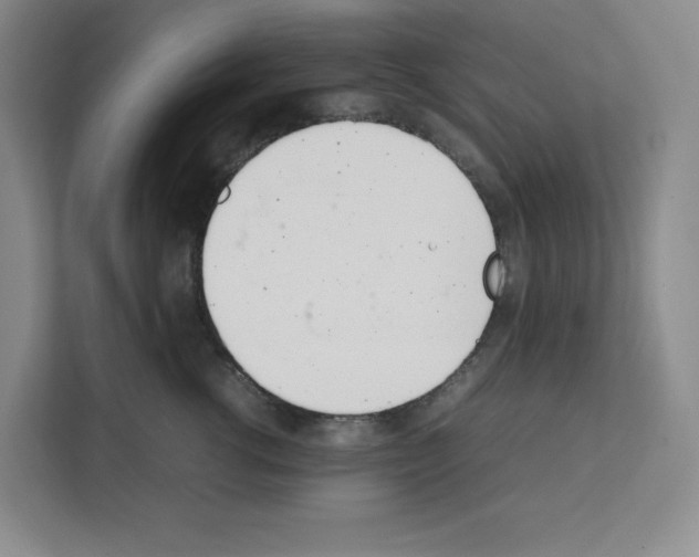 X0000111660762200908281109