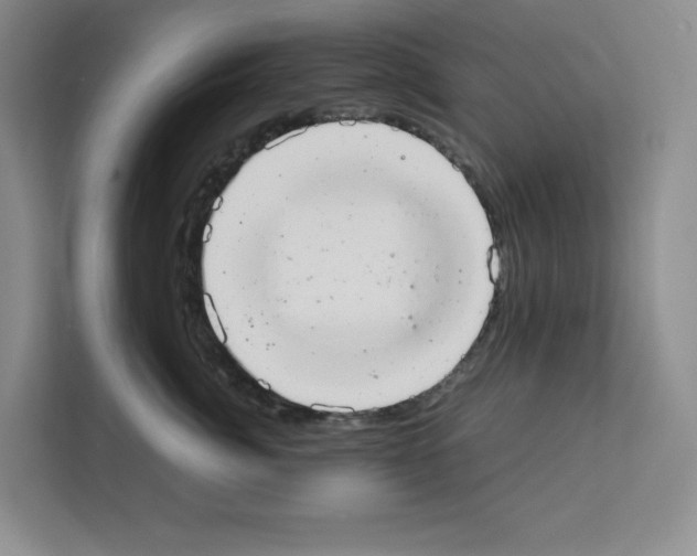 X0000111660764200908281110