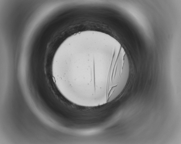 X0000111660765200908281110