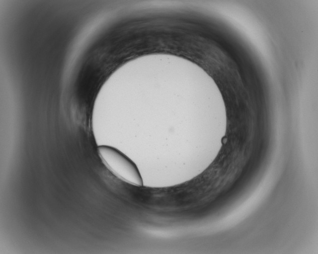 X0000111660766200908281110