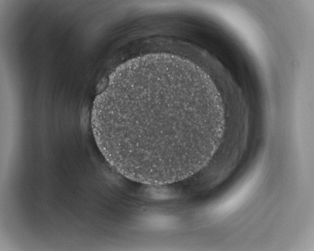 X0000111660767200908281110