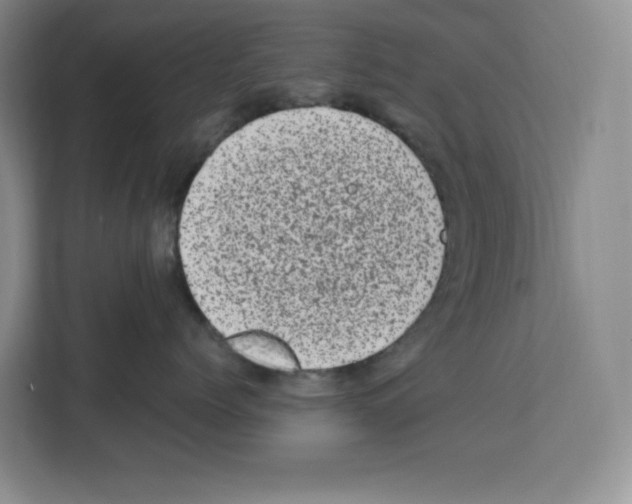 X0000111660768200908281110