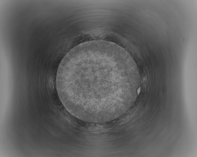 X0000111660772200908281109