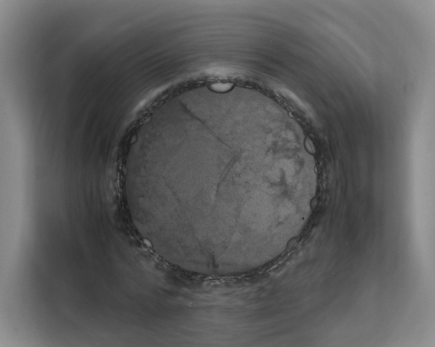 X0000111660776200908281109