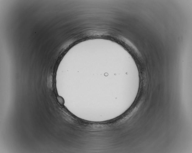 X0000111660777200908281109