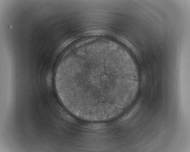 X0000111660778200908281109