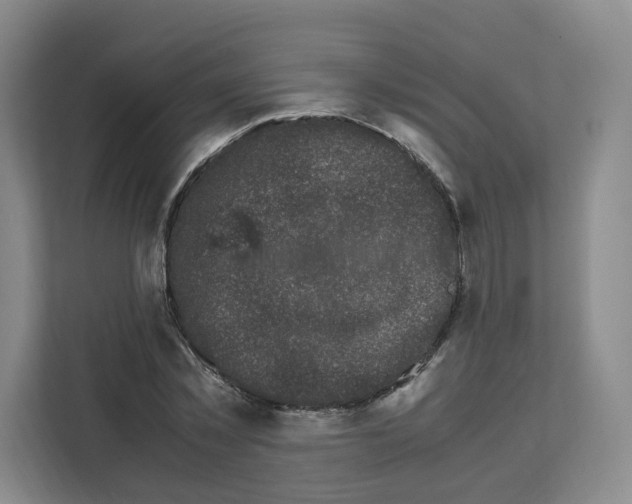 X0000111660781200908281109