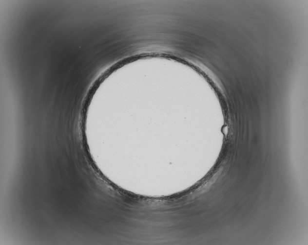 X0000111660783200908281109