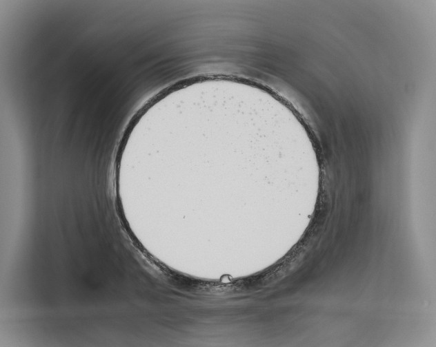 X0000111660791200908281108