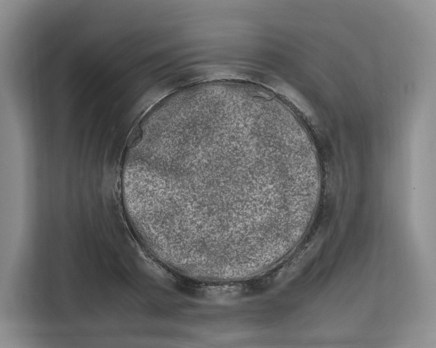 X0000111660793200908281108