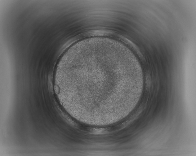 X0000111660794200908281108