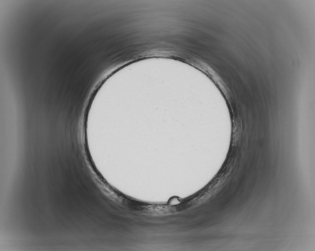 X0000111660795200908281108