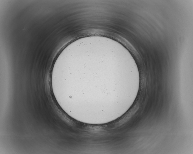 X0000111660798200908281108