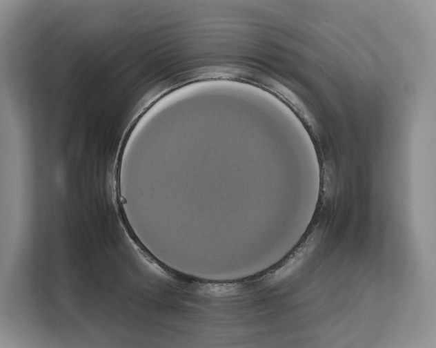 X0000111660802200908281108